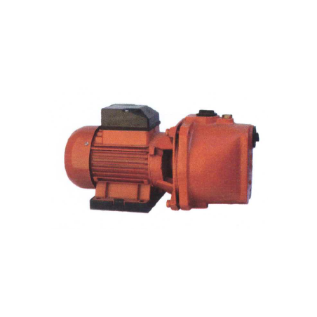 1201 F&Q 25JET-0.55 BOMBA JET TIPO CENTRÍFUGA AUTOCEBANTE